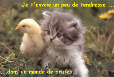 Tendresse....