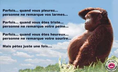 ....et oue....