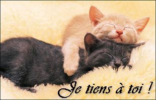 Ti minous.......!!