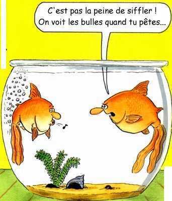 sifflemen suspect..... loll!! GRILLER!!!!!!!